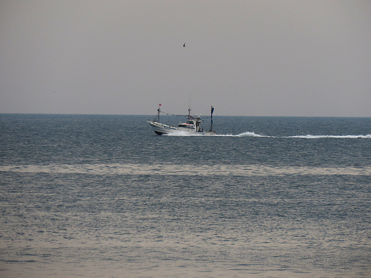 f0214649_03295042.jpg