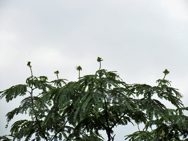 f0214649_03301573.jpg