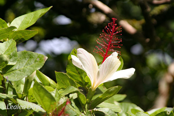 f0247849_23012215.jpg