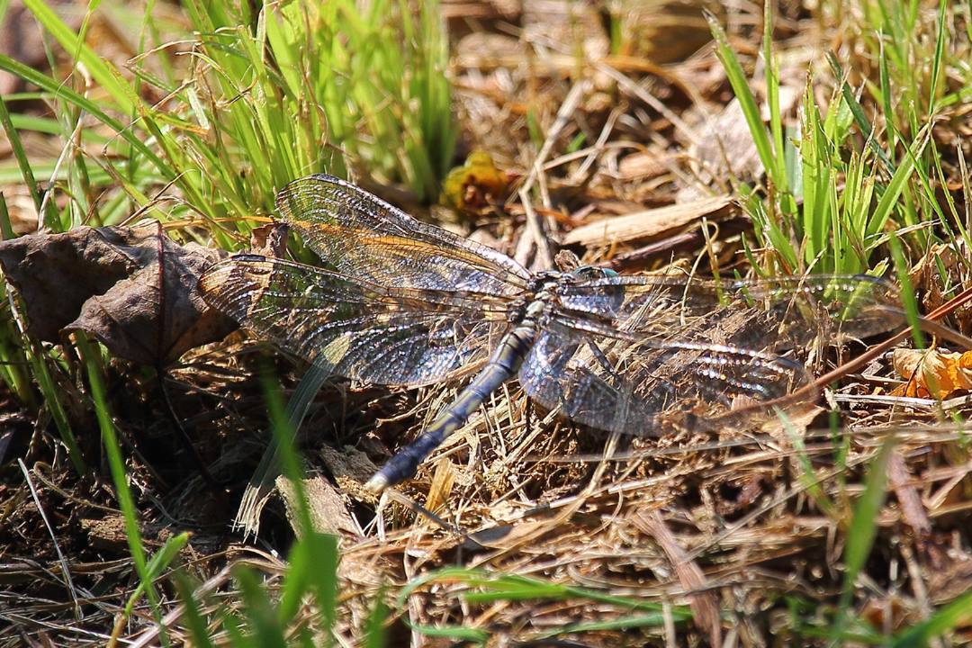 e0403850_18081601.jpg