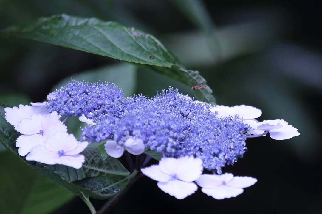 e0403850_21054690.jpg
