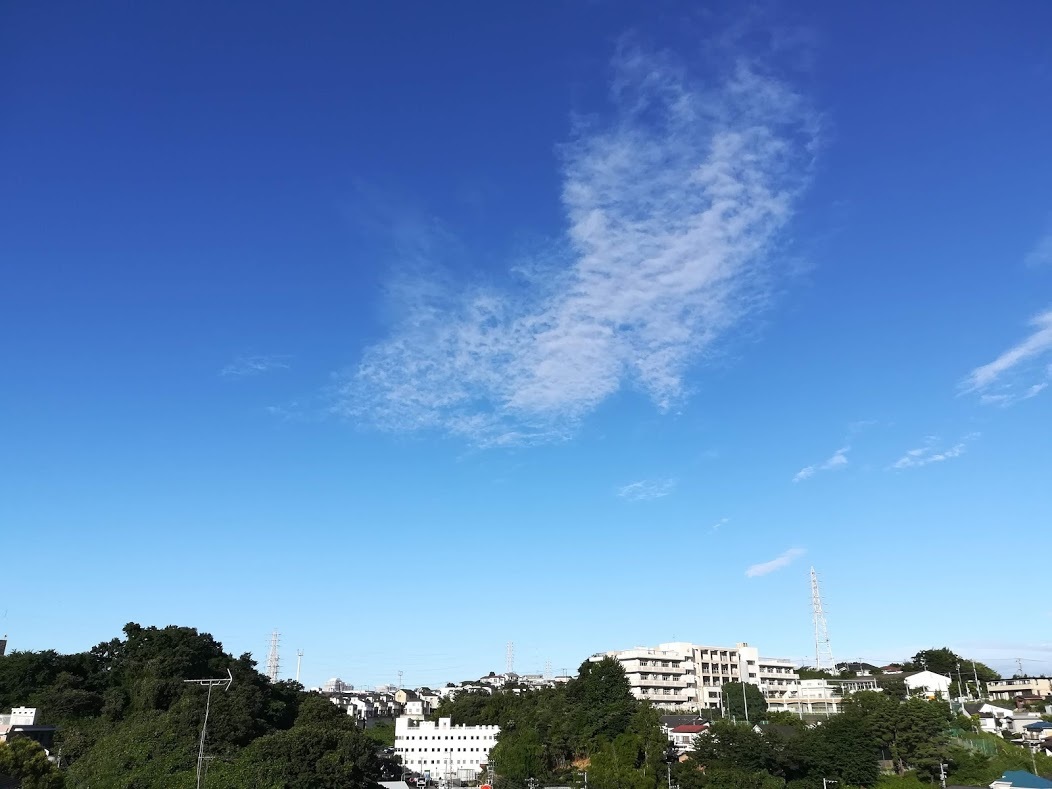 a0248459_13415265.jpg
