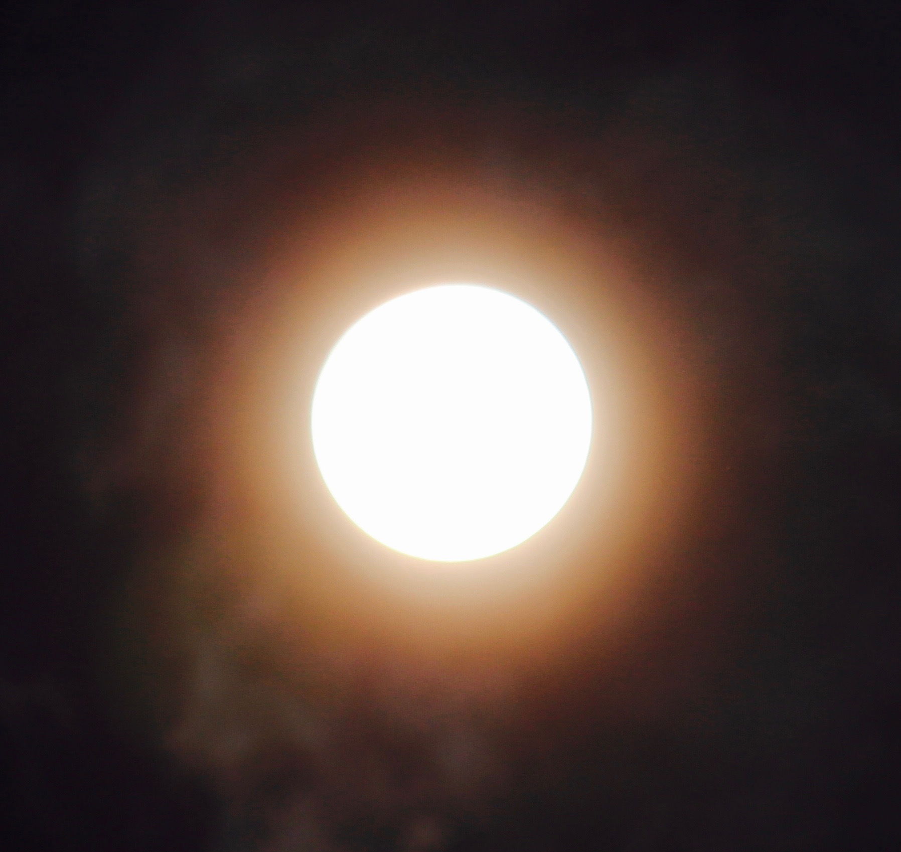 a0248459_13463370.jpg