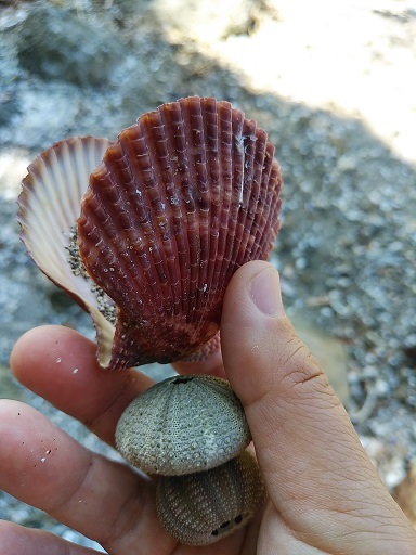 c0172261_08161264.jpg