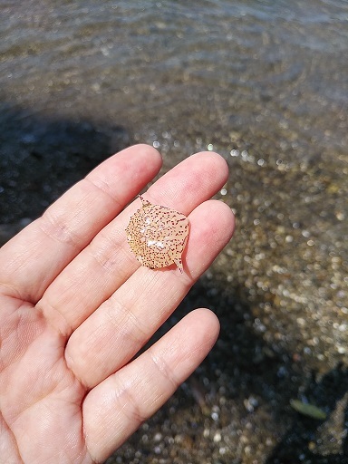 c0172261_08164586.jpg
