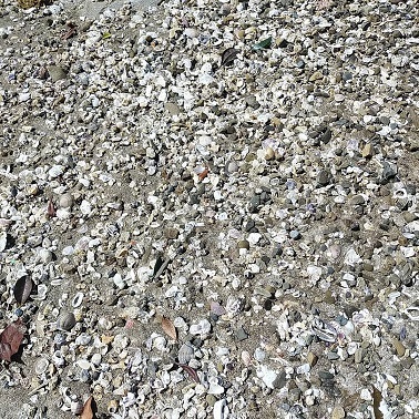c0172261_08462556.jpg