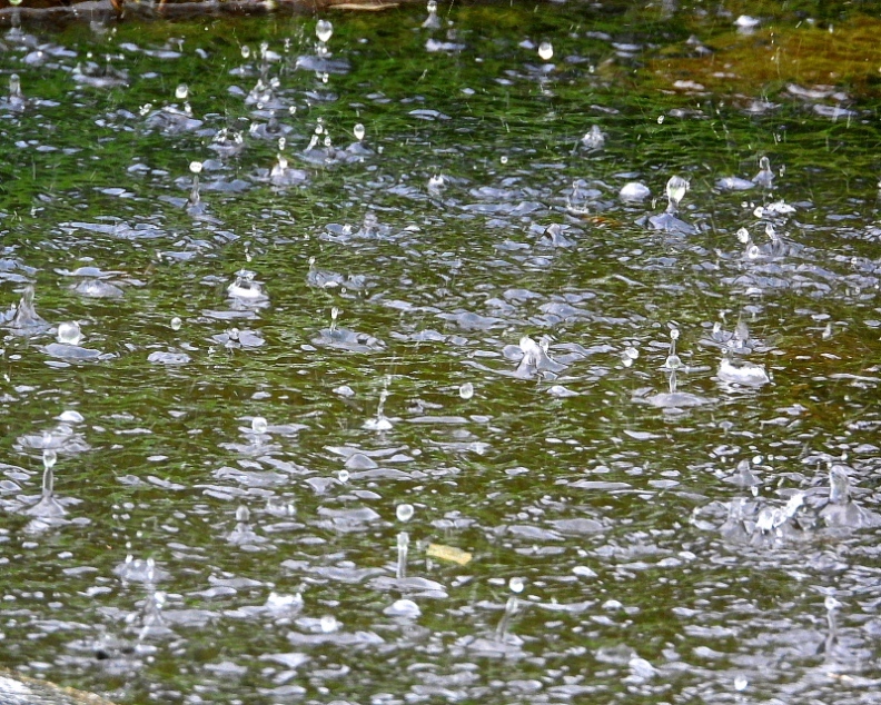 c0305565_17334154.jpg