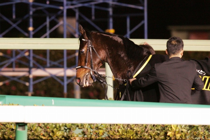 追悼 日本競馬界の至宝、ディープインパクトⅢ（引退式） : Turfに魅せ