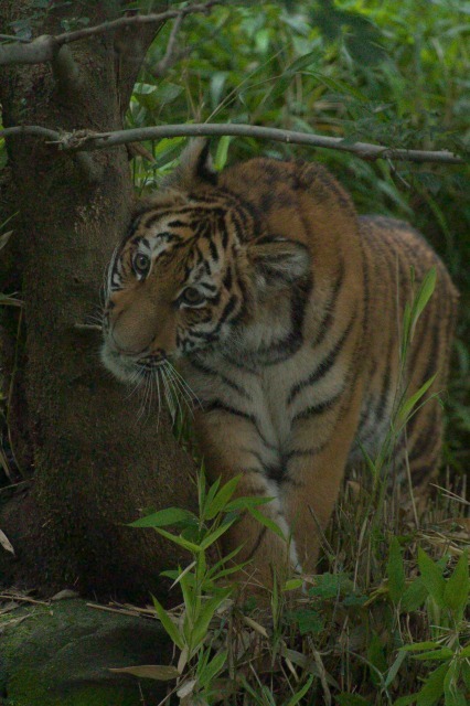 a0188771_22285893.jpg
