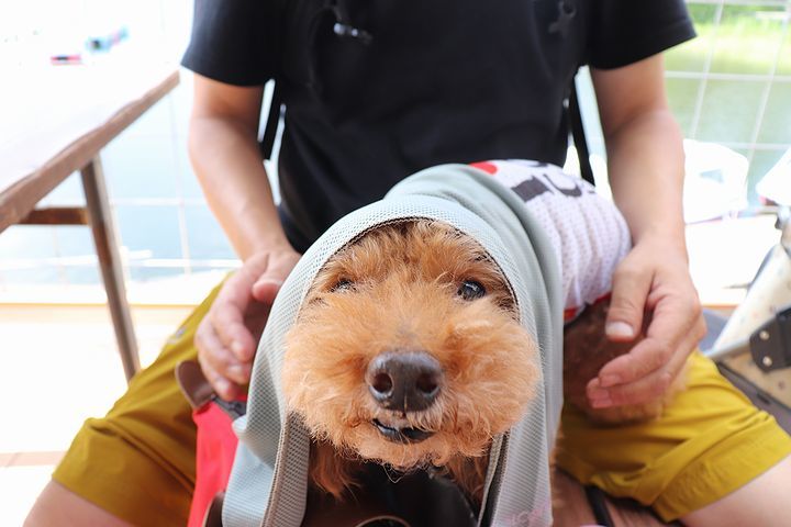 ⑥今年も暑いけど去年はもっともっと!だったな。_b0111376_23260873.jpg