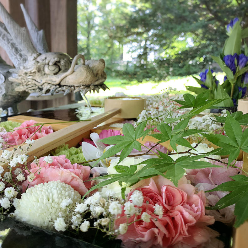 帯広神社の花手水 はなちょうず おうちの片づけアドバイザー まこつ 十勝帯広 整理収納