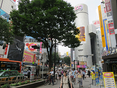 b0056983_11364460.jpg