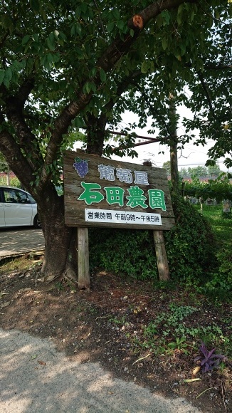 d0230486_19504338.jpg