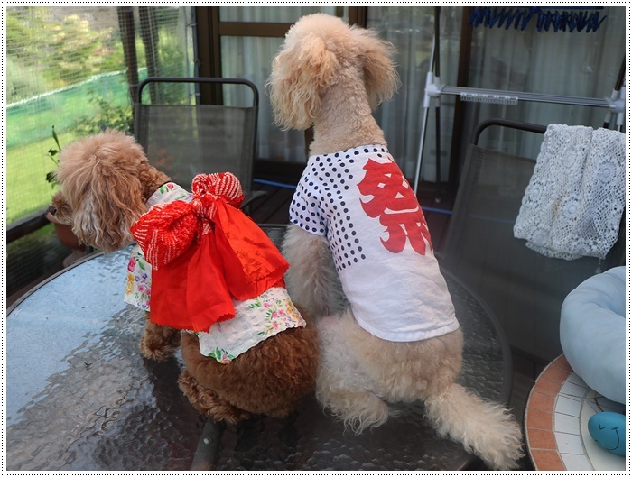 大分はこの夏一番と言うくらいに暑かった~けど、今年も夏祭りに行ったよ\\(>3(O^-)/ウフ☆_b0175688_22412388.jpg