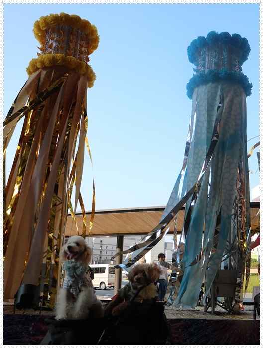 大分はこの夏一番と言うくらいに暑かった~けど、今年も夏祭りに行ったよ\\(>3(O^-)/ウフ☆_b0175688_22460880.jpg