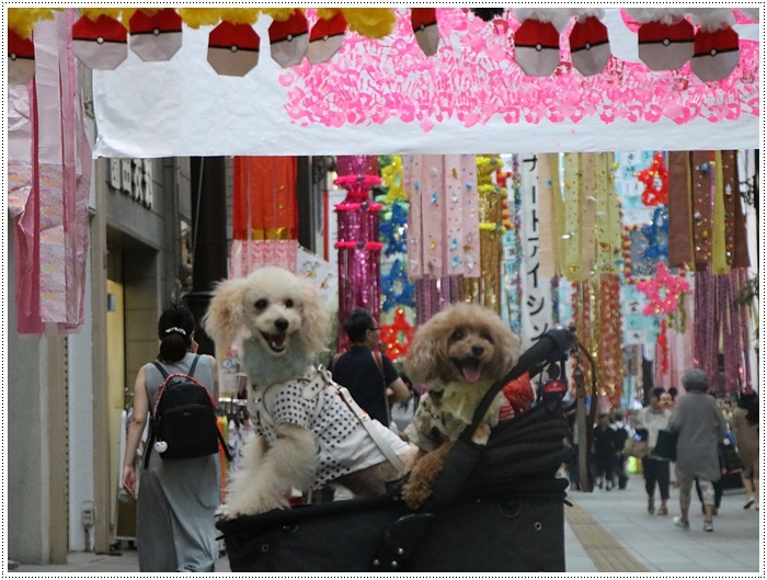 大分はこの夏一番と言うくらいに暑かった~けど、今年も夏祭りに行ったよ\\(>3(O^-)/ウフ☆_b0175688_22493523.jpg