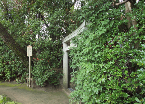 ●神社の造形―平安神宮神苑の地主社_d0053294_23431671.jpg