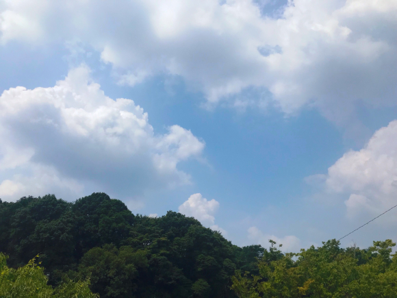 d0135694_00562086.jpg