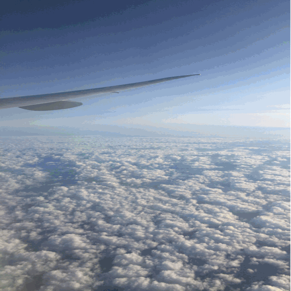 _d0065302_19291010.gif