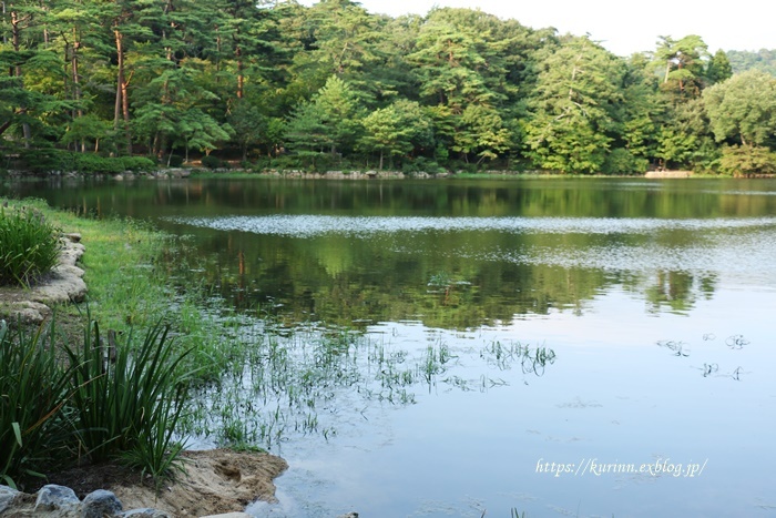 京都嵐山のみたらし団子　グラハムトーマス_a0123003_22312607.jpg