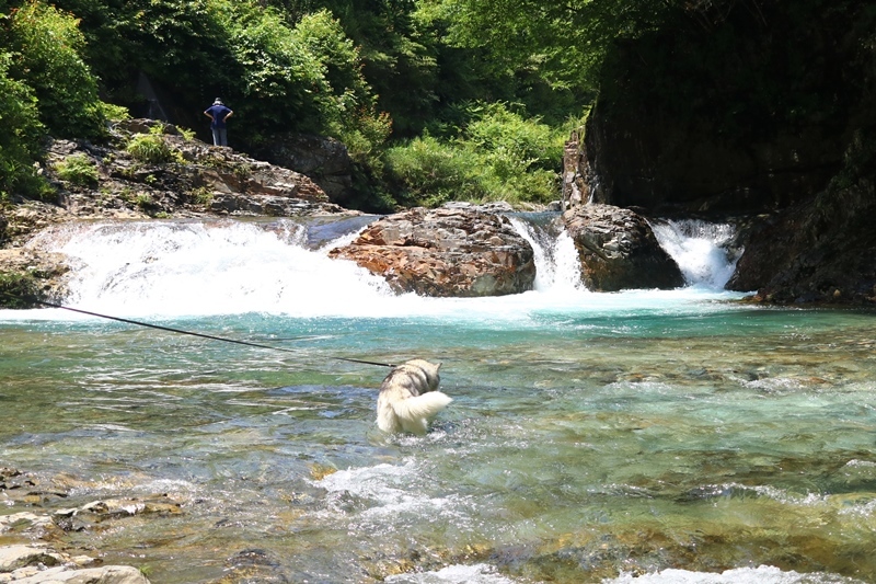 b0207615_17470869.jpg