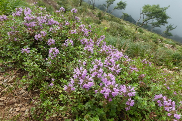 d0170615_07031365.jpg