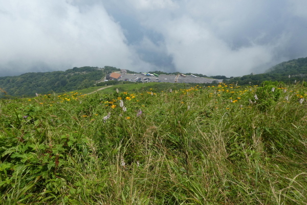 d0170615_07033996.jpg