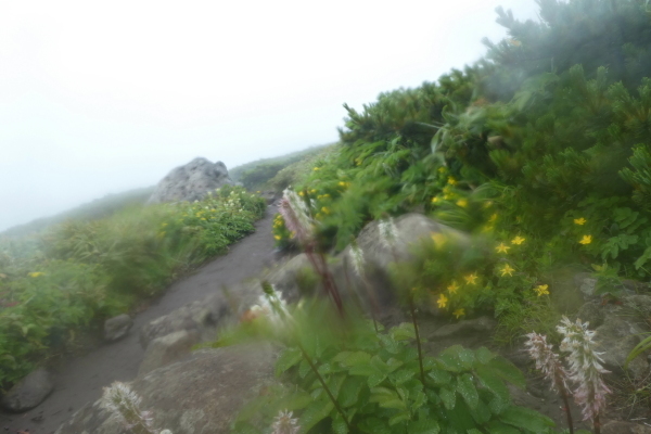 d0170615_19062774.jpg