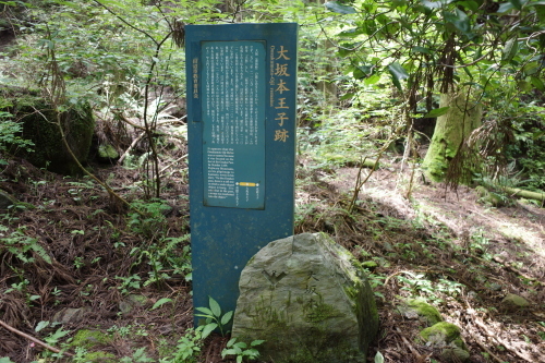 a0345833_20333841.jpg