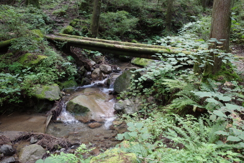 a0345833_20344528.jpg