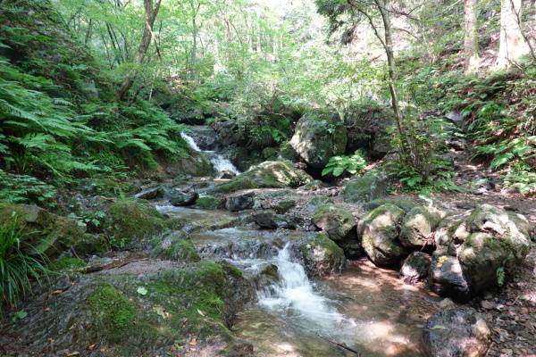 a0138134_23312927.jpeg