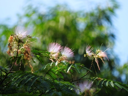 a0123836_14160418.jpg