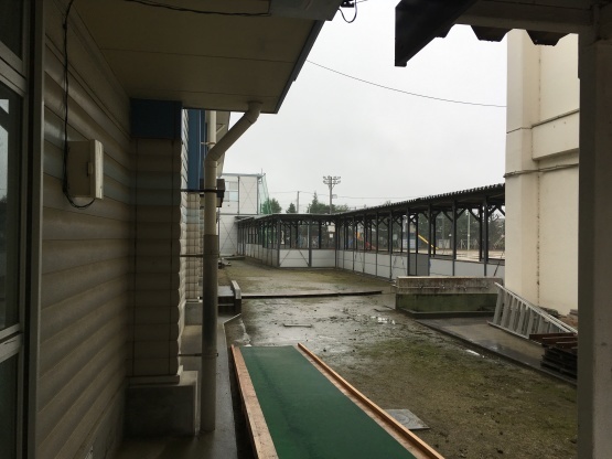 b0206845_10090989.jpeg