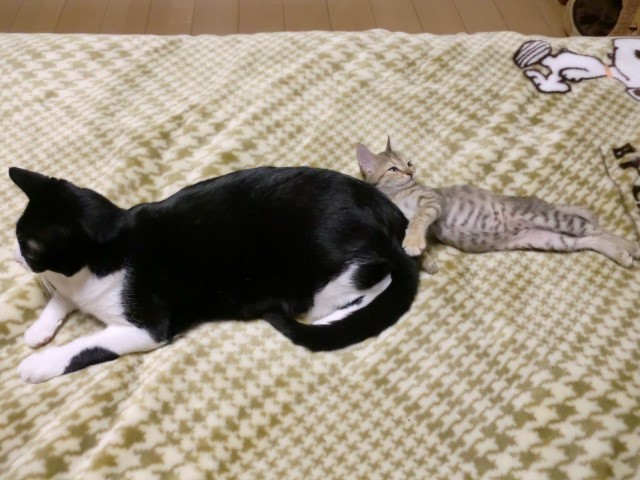 c0259945_22155617.jpg