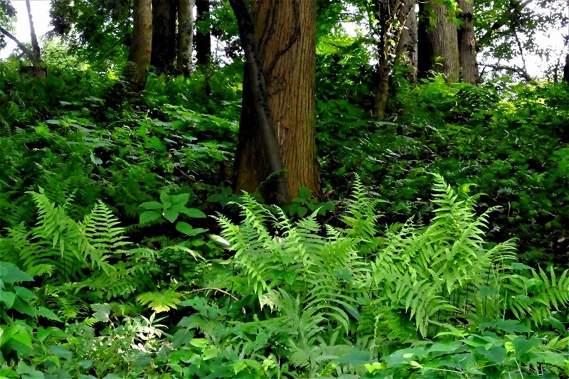 b0236251_14010690.jpg