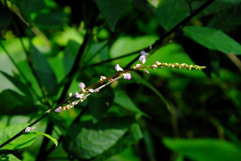b0236251_14031504.jpg