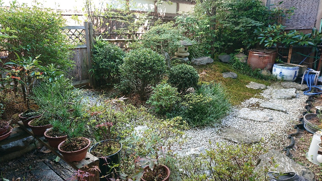 d0041154_15333249.jpg