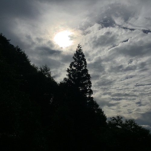 c0113755_12395902.jpg