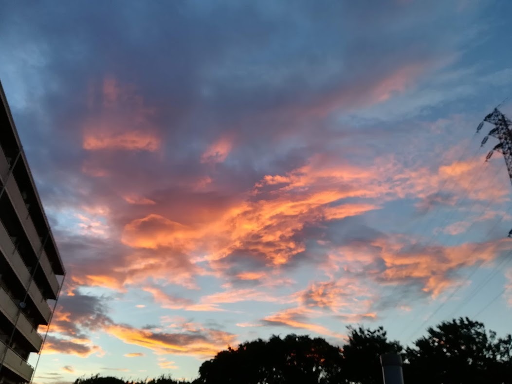 a0248459_14593293.jpg