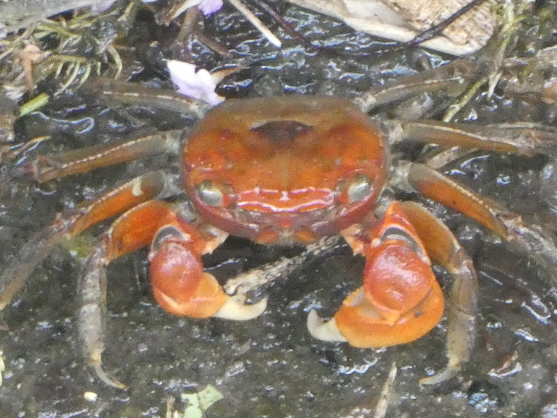 c0108460_14571421.jpg