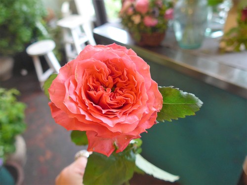 花修行~真っ赤なバラのアレンジメント~_f0232060_2044840.jpg