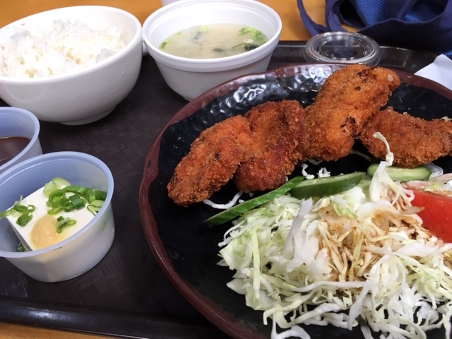 先週末の日本食ー銀だこ、ヒレカツ_e0350971_10085905.jpg