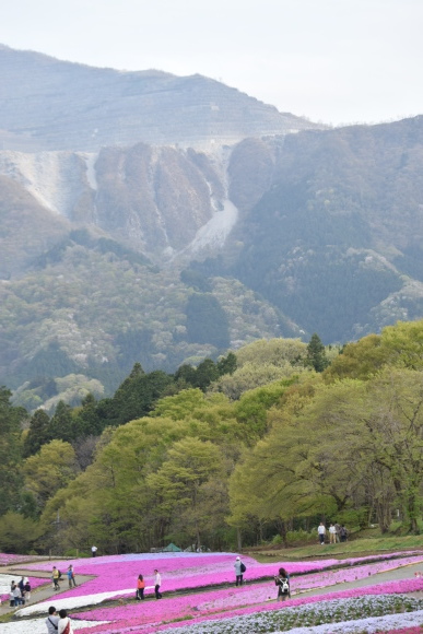 b0242873_10390680.jpg