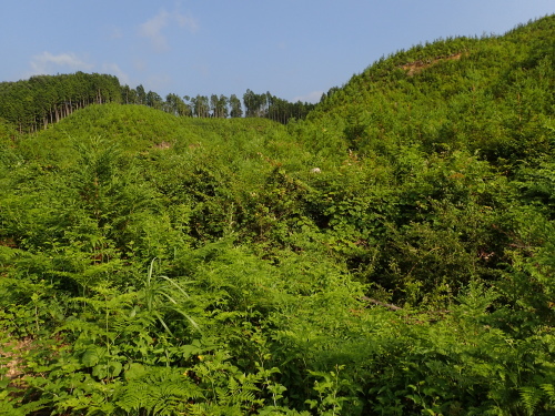 f0348480_22282807.jpg