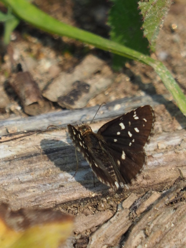 f0348480_22330773.jpg