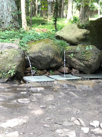 オガールのアロマ旅2019_a0191183_15585329.jpeg