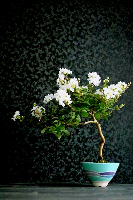 d0085887_23204738.jpg