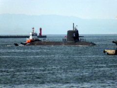 b0192588_8105978.jpg