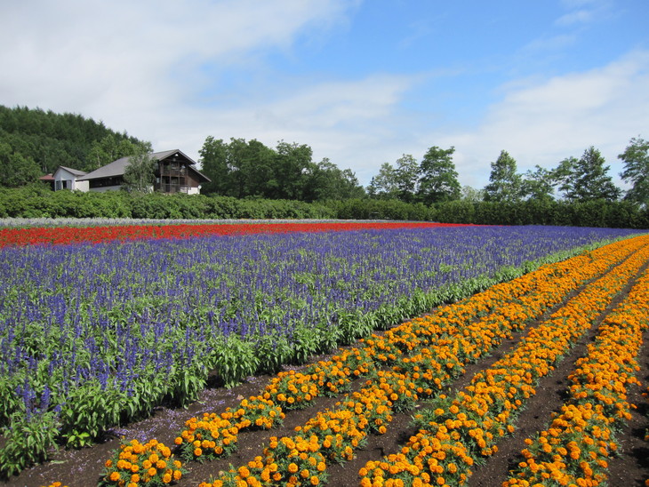 富良野_c0171889_1445199.jpg