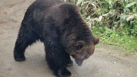 御無沙汰してました。_b0343293_22295644.jpg